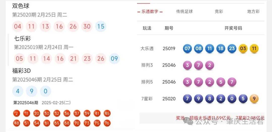 香港今晚開獎結(jié)果號碼是多少——揭秘彩票背后的秘密，揭秘彩票背后的秘密，香港今晚開獎結(jié)果號碼揭曉