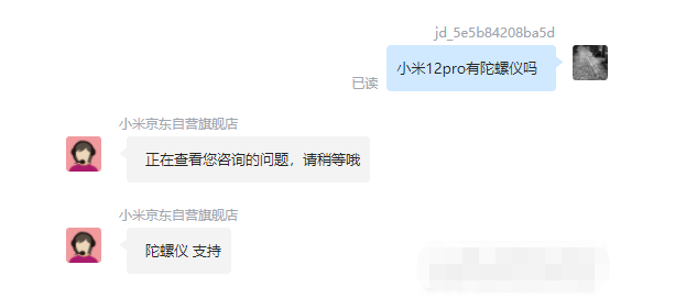 王中王一肖四碼，深度解析與SEO優(yōu)化策略，王中王一肖四碼深度解析與SEO優(yōu)化策略指南