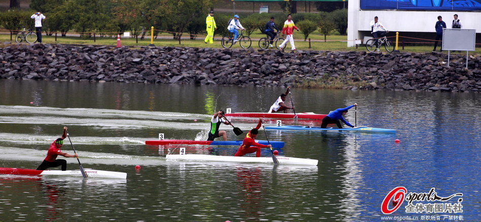 王中王選一肖一馬期期中，揭秘彩票背后的秘密策略，揭秘彩票背后的秘密策略，王中王選一肖一馬期期中之道