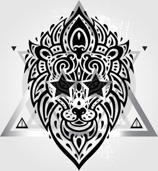 澳門四不像網(wǎng)，探索與解析，澳門四不像網(wǎng)深度探索與解析