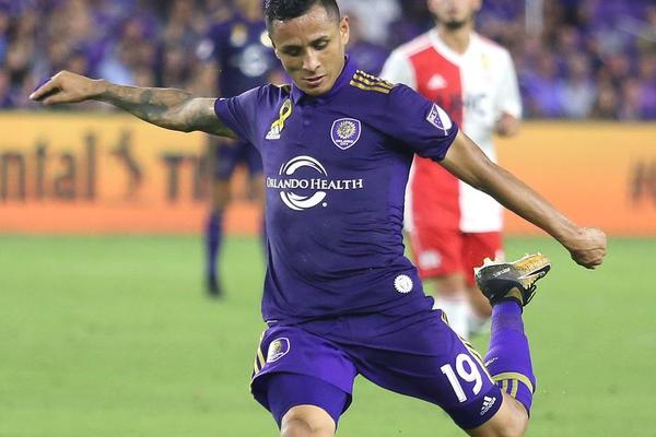 管家婆必中一肖圖正版，揭秘彩票背后的秘密與策略，揭秘彩票背后的秘密與策略，管家婆必中一肖圖正版分析