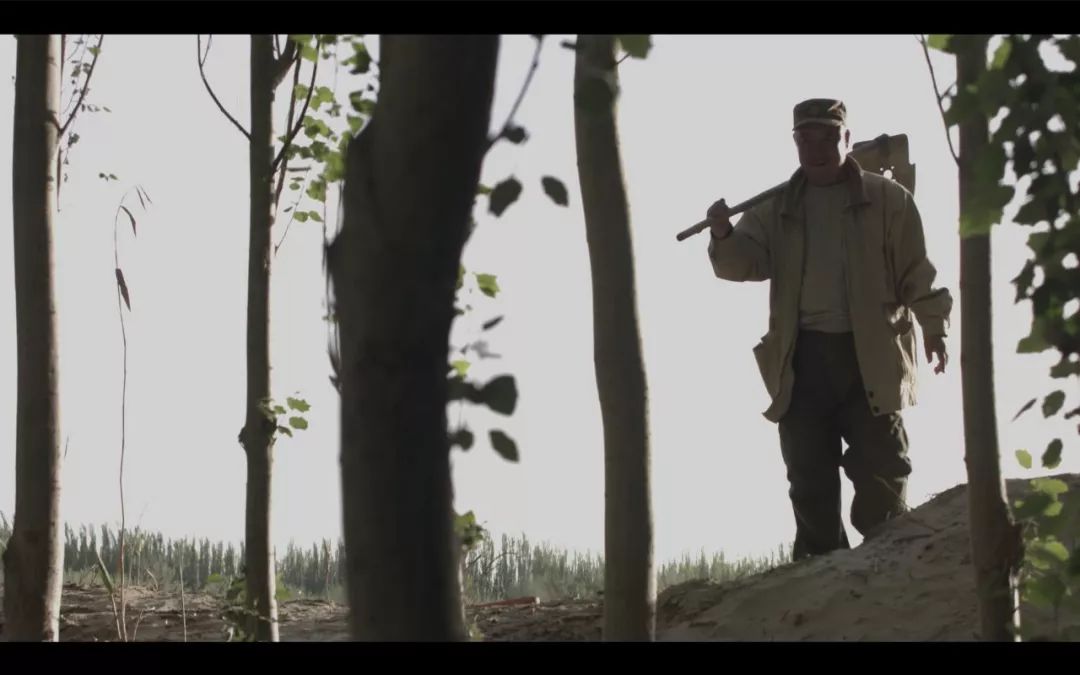 今晚劉伯溫四不像一肖圖，揭秘神秘預(yù)測背后的故事，揭秘劉伯溫四不像一肖圖的神秘預(yù)測故事