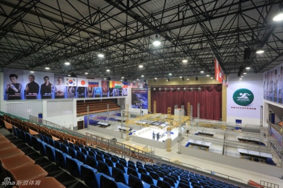 王中王一肖一馬中特平臺(tái)，探索與解析，王中王一肖一馬中特平臺(tái)深度探索與解析