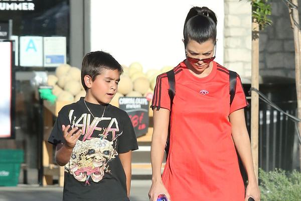 王中王兔費(fèi)一肖，揭秘背后的秘密與SEO策略，揭秘王中王兔費(fèi)預(yù)測(cè)背后的秘密與SEO策略