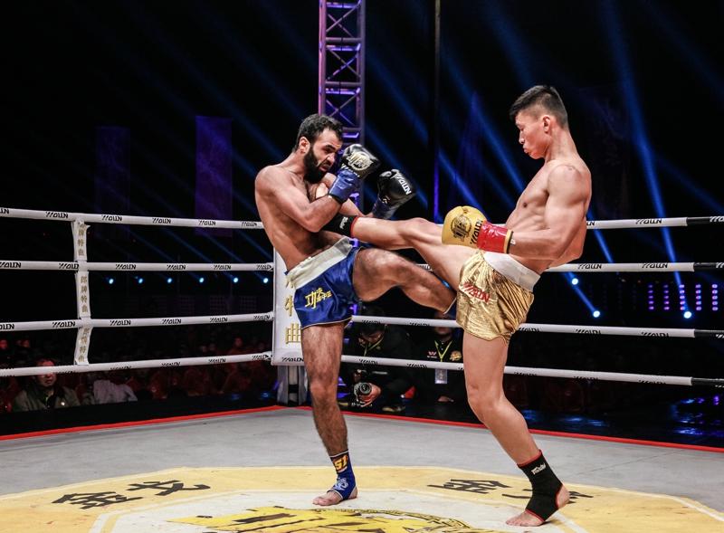 王中王網(wǎng)四肖主一碼，深度解析與SEO優(yōu)化策略，王中王網(wǎng)四肖主一碼，深度解析與SEO優(yōu)化策略全攻略