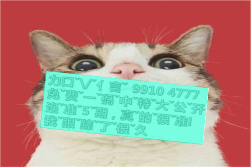 一肖啥意思，深度解析與SEO優(yōu)化文章，一肖含義深度解析與SEO優(yōu)化策略探討