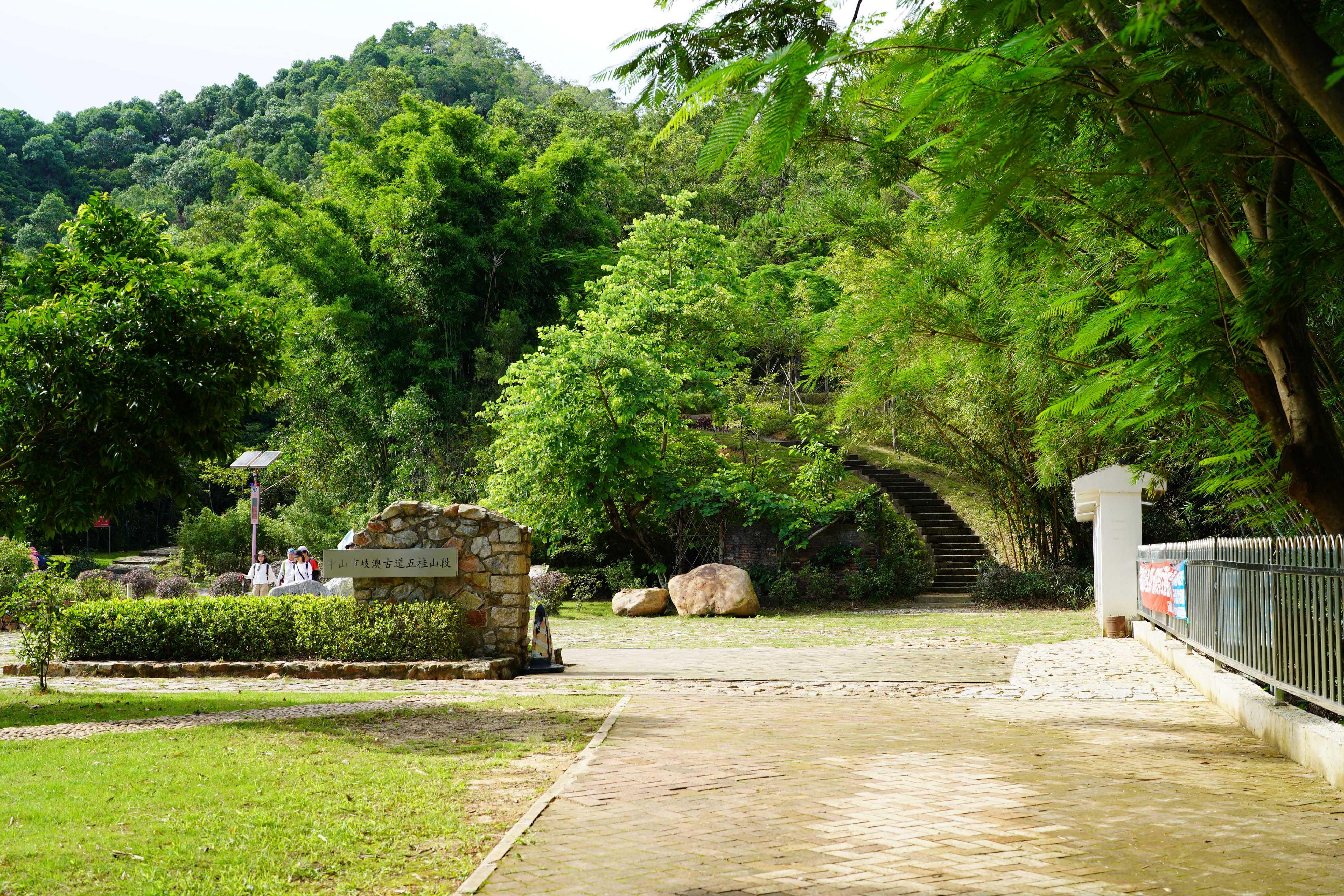 新奧門彩出號綜合走勢分析，新奧門彩出號綜合走勢解析