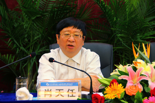 王中王資科一肖中持天，深度解析與SEO優(yōu)化策略，王中王資科一肖中持天深度解析與SEO優(yōu)化策略探討