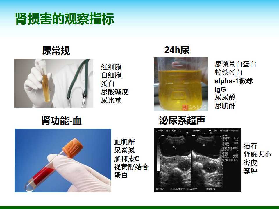 尿酸水平升高與腎臟健康，尿酸460是否意味著腎臟已經受損？，尿酸水平升高與腎臟健康關系解析，尿酸460是否預示腎臟受損？