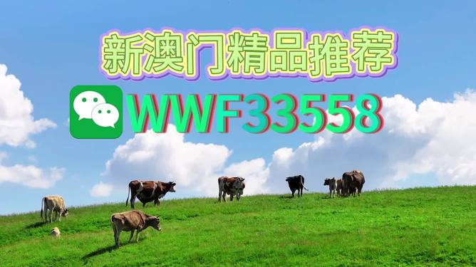 揭秘今晚9點30生肖運勢，你的生肖運勢如何？，揭秘今晚9點30生肖運勢，你的生肖運勢走向如何？