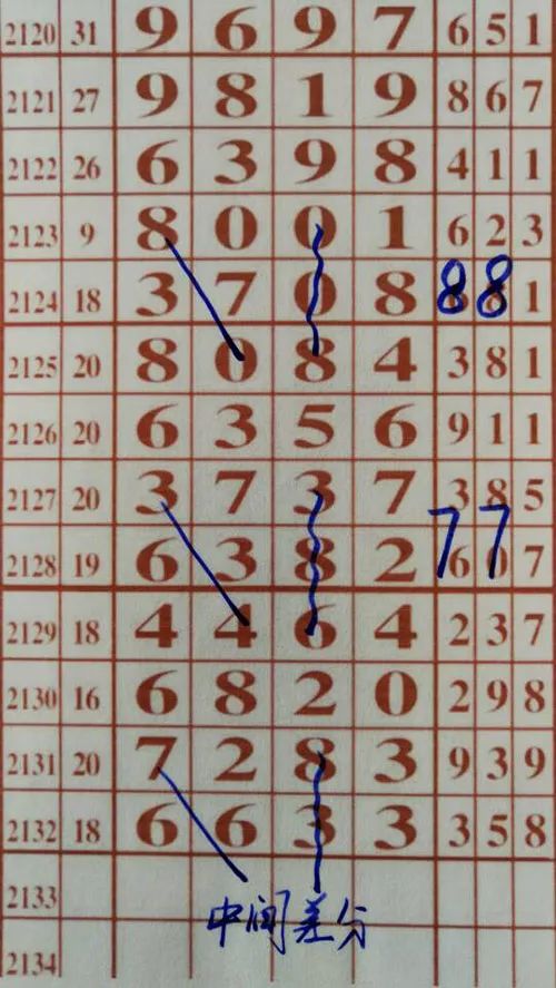 79期王中王三肖一碼，深度解析與SEO優(yōu)化策略，79期王中王三肖一碼深度解析與SEO策略全解析