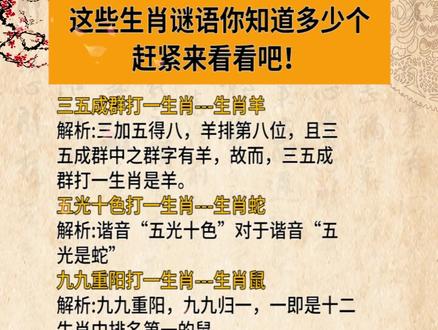 謎語(yǔ)王中王打一生肖——揭秘背后的神秘故事與生肖之謎，揭秘生肖之謎，謎語(yǔ)王中王背后的神秘故事與生肖解密