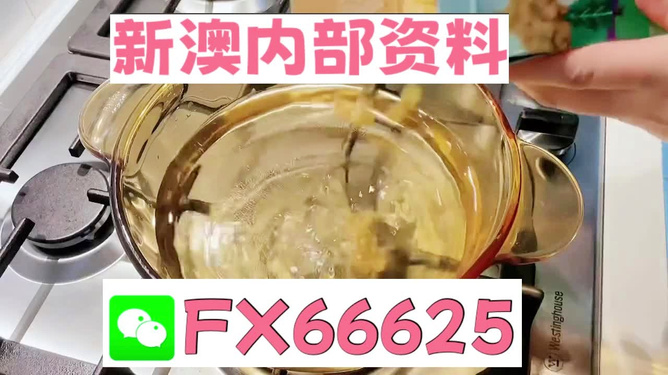 新澳一碼料，深度解析與SEO優(yōu)化策略，新澳一碼料深度解析與SEO優(yōu)化策略指南