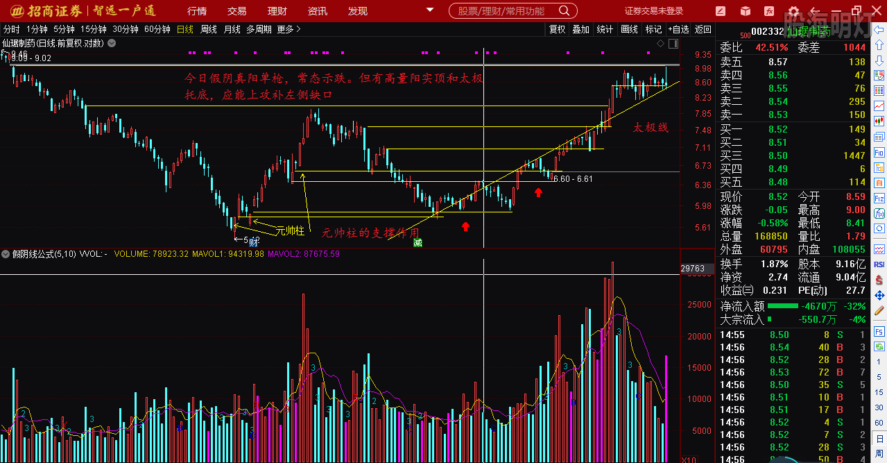 仙琚制藥股票（代碼，002332）深度解析，仙琚制藥股票深度解析（代碼，002332）