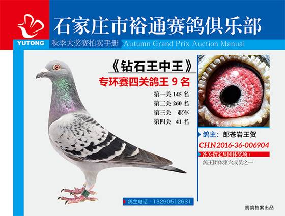 王中王一期一肖特中獎，揭秘彩票背后的秘密與策略，揭秘彩票背后的秘密與策略，王中王一期一肖特中獎解析