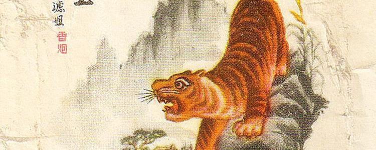 猛虎下山王中王，一生肖的獨(dú)特象征與奧秘，猛虎下山，生肖的獨(dú)特象征與奧秘