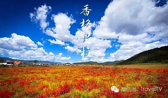 金秋十月，探尋最適合你的旅游目的地，金秋十月，探尋最佳旅游目的地之旅